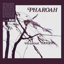 Load image into Gallery viewer, PHAROAH SANDERS &quot;Pharoah&quot; LP