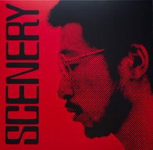 Load image into Gallery viewer, RYO FUKUI &quot;Scenery&quot; LP